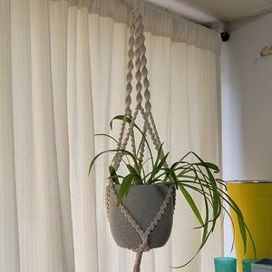 Plant Hanger